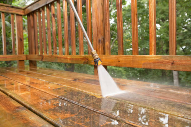 Best Patio and Deck Pressure Washing  in Ridgway, CO